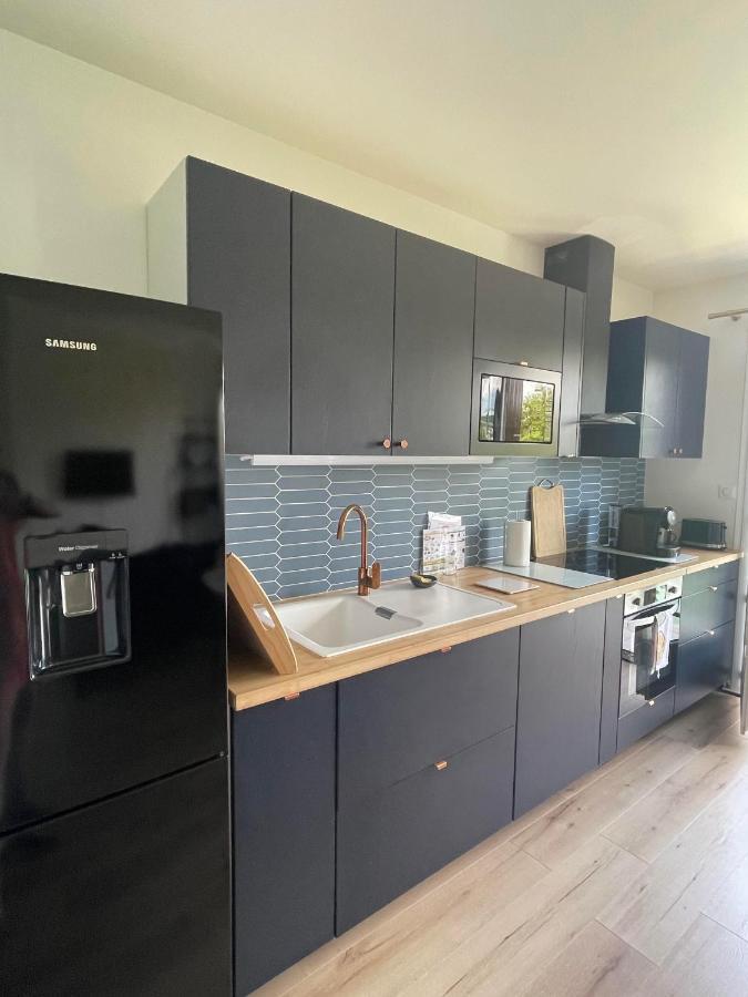 Ambiance Seine, Surplombant La Seine -51 M2, Anemone- * Thomery